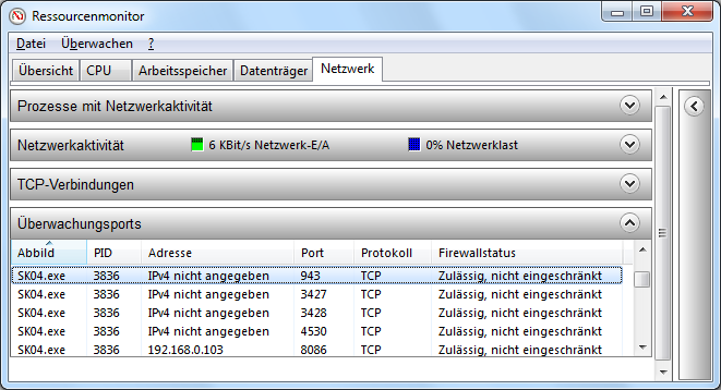 Screenshot of resource monitor utility showing ports opened by SK server app